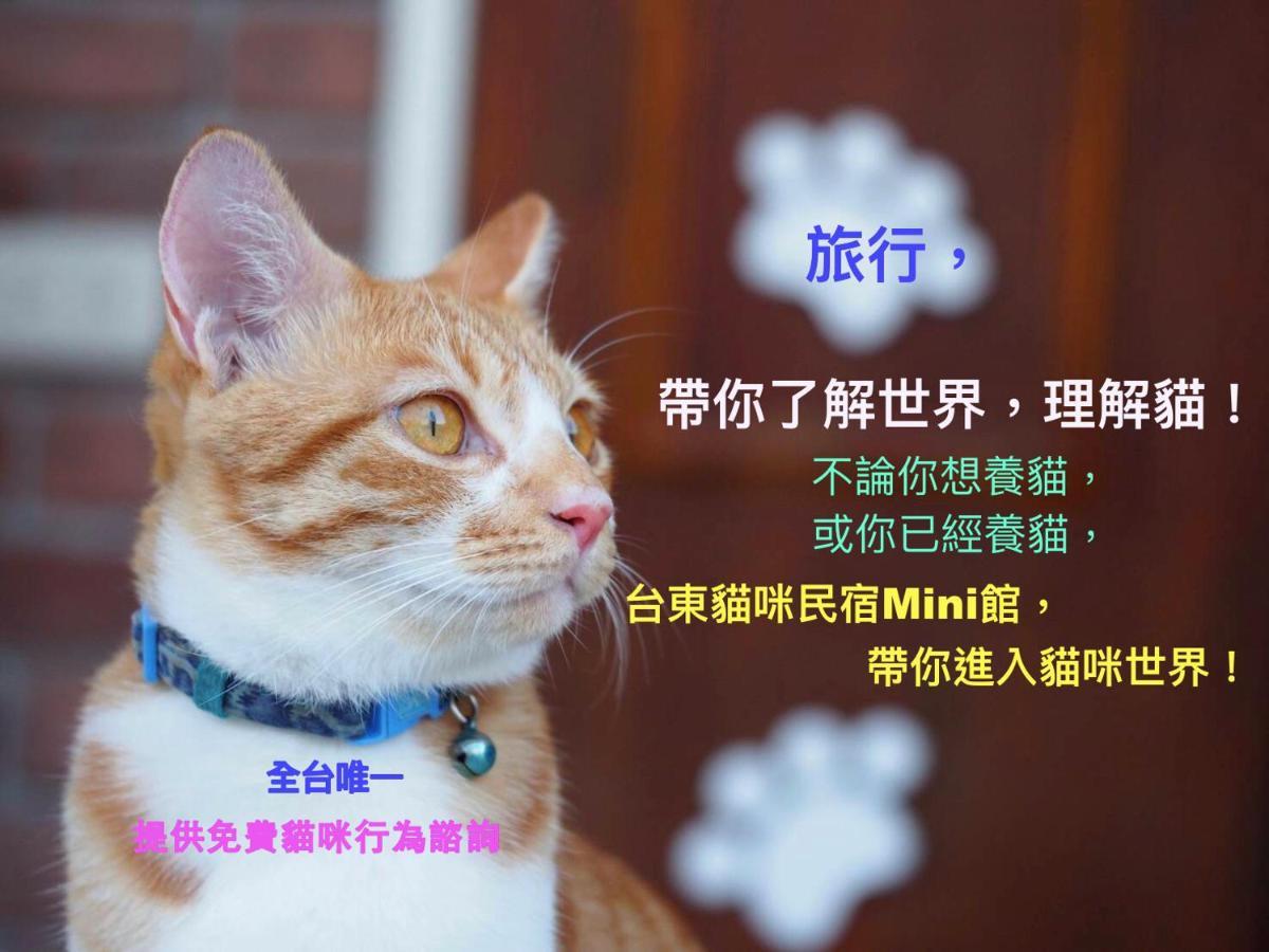 貓咪民宿mini館-中午即可入房 Taitung Exterior photo